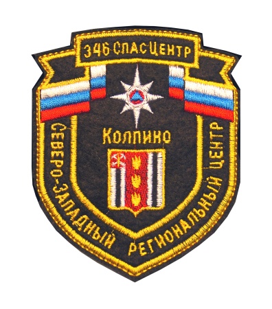 11-8 шевр.выш. С-З рег центр 346 СпасЦентр Колпино 