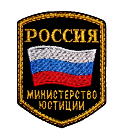 1-5 шевр.выш.Россия МЮ (5-уг с флаг)  