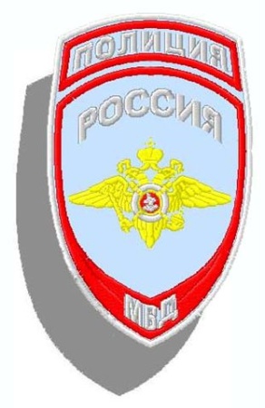 04-31 шевр.выш. Полиция (орел) Общий бледно-голуб. ткань на липучке