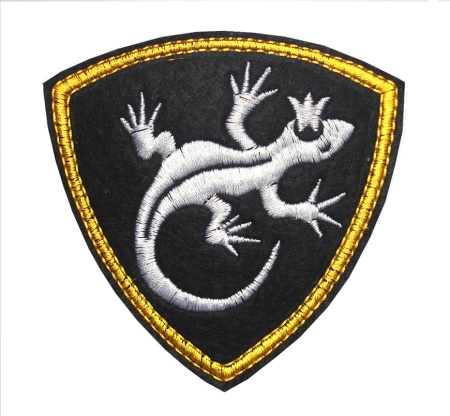 10-9 шевр.выш. ВВ ящерица